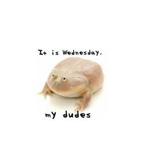 Meet your Posher, Alannah